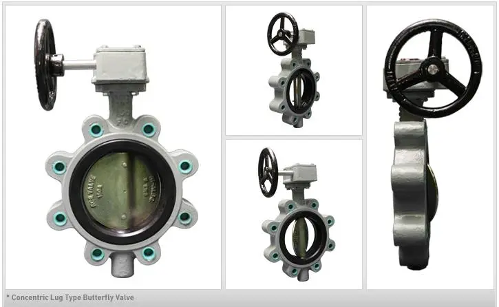 concentric-lug-type