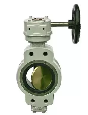 double-eccentric-cargo-valve-semi-lug-type-1