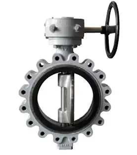 double-eccentric-cargo-valve-lug-type1